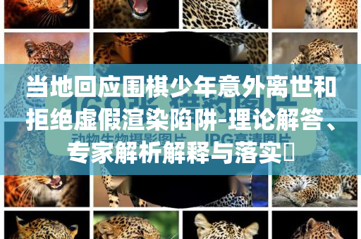 當(dāng)?shù)鼗貞?yīng)圍棋少年意外離世和拒絕虛假渲染陷阱-理論解答、專家解析解釋與落實?