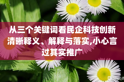從三個(gè)關(guān)鍵詞看民企科技創(chuàng)新清晰釋義、解釋與落實(shí),小心言過其實(shí)推廣