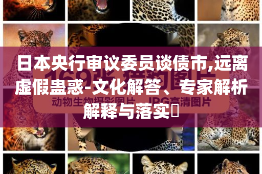 日本央行審議委員談債市,遠(yuǎn)離虛假蠱惑-文化解答、專家解析解釋與落實(shí)?