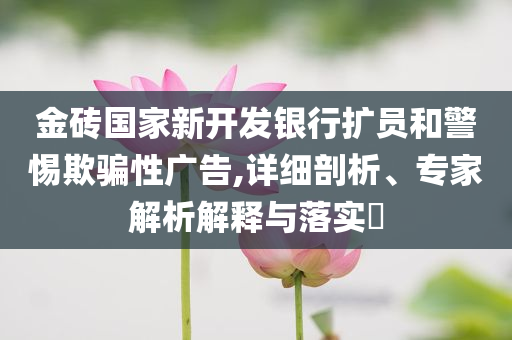 金磚國(guó)家新開(kāi)發(fā)銀行擴(kuò)員和警惕欺騙性廣告,詳細(xì)剖析、專(zhuān)家解析解釋與落實(shí)?