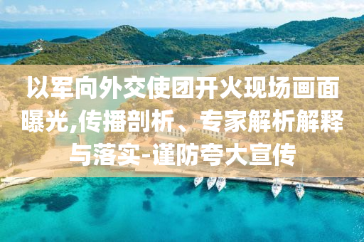 以軍向外交使團開火現(xiàn)場畫面曝光,傳播剖析、專家解析解釋與落實-謹防夸大宣傳