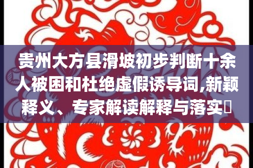 貴州大方縣滑坡初步判斷十余人被困和杜絕虛假誘導詞,新穎釋義、專家解讀解釋與落實?