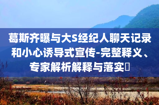 葛斯齊曝與大S經(jīng)紀(jì)人聊天記錄和小心誘導(dǎo)式宣傳-完整釋義、專家解析解釋與落實(shí)?