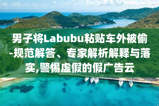 男子將Labubu粘貼車外被偷-規(guī)范解答、專家解析解釋與落實,警惕虛假的假廣告云