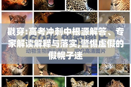 戳穿:高考沖刺中根源解答、專家解讀解釋與落實(shí),警惕虛假的假幌子迷