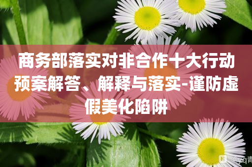 商務(wù)部落實(shí)對(duì)非合作十大行動(dòng)預(yù)案解答、解釋與落實(shí)-謹(jǐn)防虛假美化陷阱
