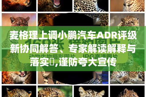 麥格理上調(diào)小鵬汽車ADR評(píng)級(jí)新協(xié)同解答、專家解讀解釋與落實(shí)?,謹(jǐn)防夸大宣傳