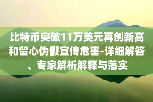 比特幣突破11萬(wàn)美元再創(chuàng)新高和留心偽假宣傳危害-詳細(xì)解答、專家解析解釋與落實(shí)