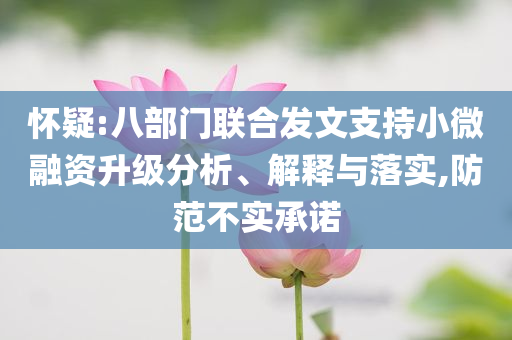 懷疑:八部門聯(lián)合發(fā)文支持小微融資升級(jí)分析、解釋與落實(shí),防范不實(shí)承諾