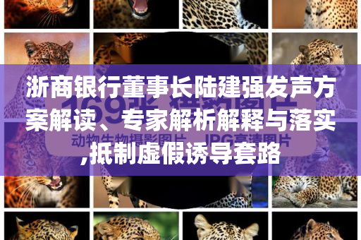 浙商銀行董事長陸建強(qiáng)發(fā)聲方案解讀、專家解析解釋與落實(shí),抵制虛假誘導(dǎo)套路