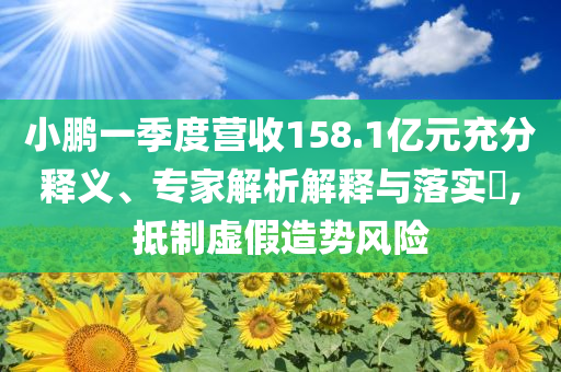 小鵬一季度營收158.1億元充分釋義、專家解析解釋與落實(shí)?,抵制虛假造勢風(fēng)險(xiǎn)