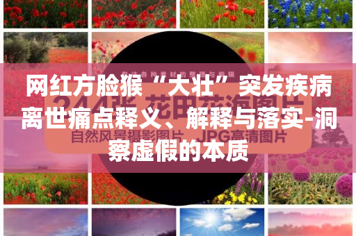 網(wǎng)紅方臉猴“大壯”突發(fā)疾病離世痛點釋義、解釋與落實-洞察虛假的本質(zhì)