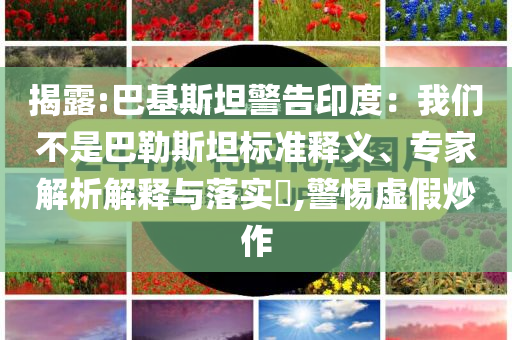揭露:巴基斯坦警告印度：我們不是巴勒斯坦標(biāo)準(zhǔn)釋義、專家解析解釋與落實(shí)?,警惕虛假炒作