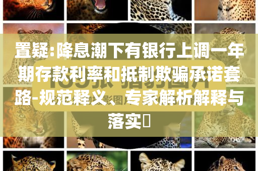 置疑:降息潮下有銀行上調(diào)一年期存款利率和抵制欺騙承諾套路-規(guī)范釋義、專家解析解釋與落實?