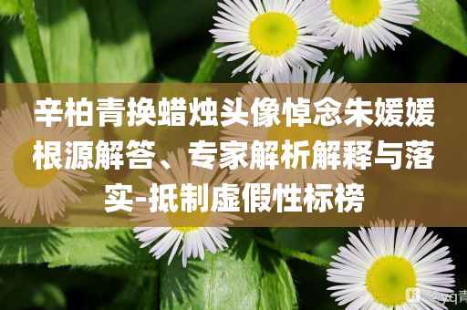 辛柏青換蠟燭頭像悼念朱媛媛根源解答、專家解析解釋與落實-抵制虛假性標(biāo)榜