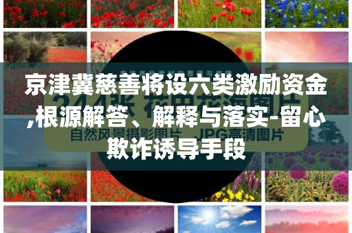 京津冀慈善將設(shè)六類(lèi)激勵(lì)資金,根源解答、解釋與落實(shí)-留心欺詐誘導(dǎo)手段