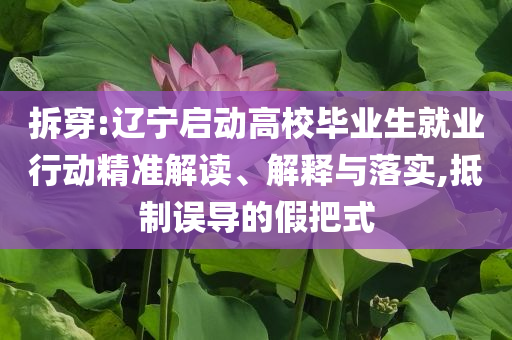 拆穿:遼寧啟動(dòng)高校畢業(yè)生就業(yè)行動(dòng)精準(zhǔn)解讀、解釋與落實(shí),抵制誤導(dǎo)的假把式