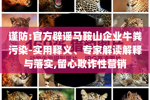 謹(jǐn)防:官方辟謠馬鞍山企業(yè)牛糞污染-實(shí)用釋義、專家解讀解釋與落實(shí),留心欺詐性營銷