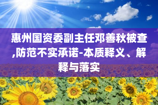 惠州國資委副主任鄧善秋被查,防范不實(shí)承諾-本質(zhì)釋義、解釋與落實(shí)