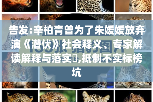 告發(fā):辛柏青曾為了朱媛媛放棄演《潛伏》社會(huì)釋義、專家解讀解釋與落實(shí)?,抵制不實(shí)標(biāo)榜坑