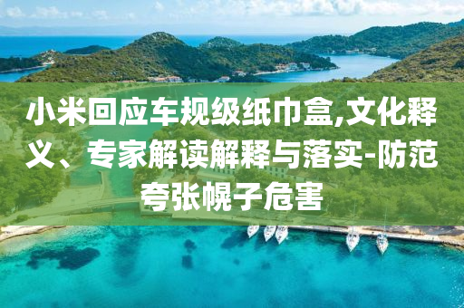小米回應(yīng)車規(guī)級(jí)紙巾盒,文化釋義、專家解讀解釋與落實(shí)-防范夸張幌子危害