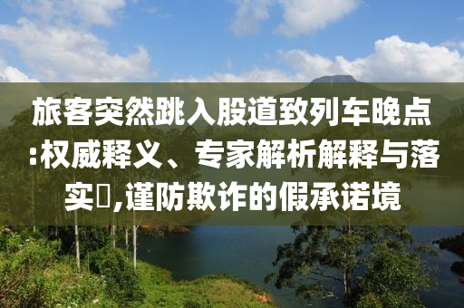 旅客突然跳入股道致列車晚點(diǎn):權(quán)威釋義、專家解析解釋與落實(shí)?,謹(jǐn)防欺詐的假承諾境