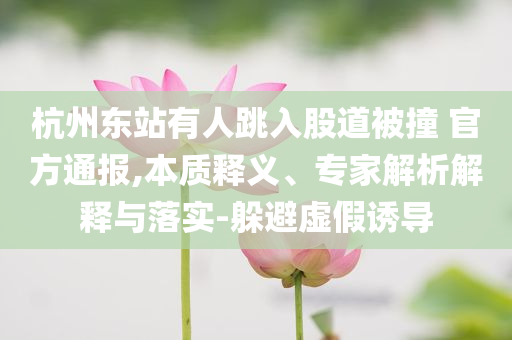 杭州東站有人跳入股道被撞 官方通報(bào),本質(zhì)釋義、專(zhuān)家解析解釋與落實(shí)-躲避虛假誘導(dǎo)