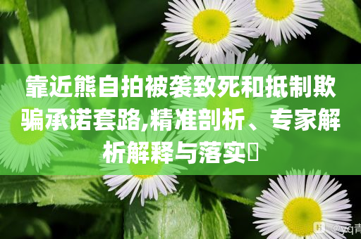 靠近熊自拍被襲致死和抵制欺騙承諾套路,精準(zhǔn)剖析、專家解析解釋與落實(shí)?