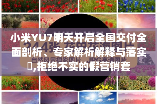 小米YU7明天開啟全國(guó)交付全面剖析、專家解析解釋與落實(shí)?,拒絕不實(shí)的假營(yíng)銷套