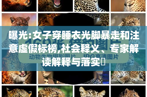 曝光:女子穿睡衣光腳暴走和注意虛假標(biāo)榜,社會釋義、專家解讀解釋與落實(shí)?