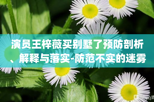 演員王梓薇買別墅了預(yù)防剖析、解釋與落實(shí)-防范不實(shí)的迷霧