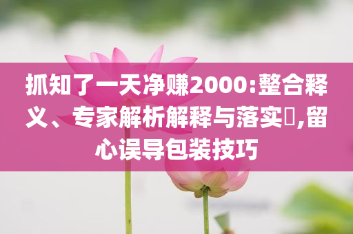 抓知了一天凈賺2000:整合釋義、專家解析解釋與落實(shí)?,留心誤導(dǎo)包裝技巧
