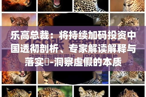 樂高總裁：將持續(xù)加碼投資中國透徹剖析、專家解讀解釋與落實?-洞察虛假的本質(zhì)
