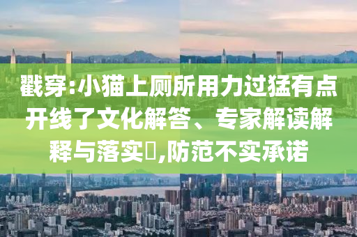 戳穿:小貓上廁所用力過(guò)猛有點(diǎn)開(kāi)線了文化解答、專家解讀解釋與落實(shí)?,防范不實(shí)承諾