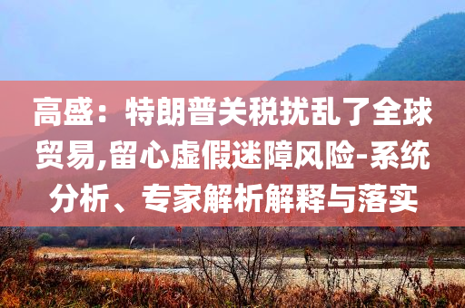 高盛：特朗普關(guān)稅擾亂了全球貿(mào)易,留心虛假迷障風(fēng)險(xiǎn)-系統(tǒng)分析、專家解析解釋與落實(shí)
