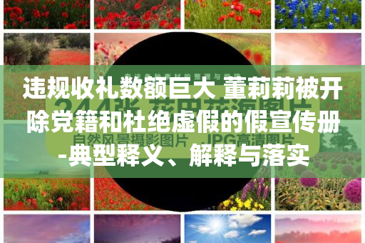 違規(guī)收禮數(shù)額巨大 董莉莉被開(kāi)除黨籍和杜絕虛假的假宣傳冊(cè)-典型釋義、解釋與落實(shí)