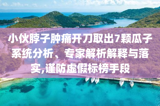 小伙脖子腫痛開(kāi)刀取出7顆瓜子系統(tǒng)分析、專家解析解釋與落實(shí),謹(jǐn)防虛假標(biāo)榜手段