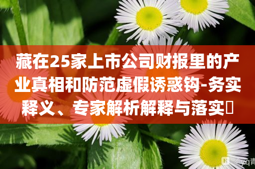 藏在25家上市公司財(cái)報(bào)里的產(chǎn)業(yè)真相和防范虛假誘惑鉤-務(wù)實(shí)釋義、專家解析解釋與落實(shí)?