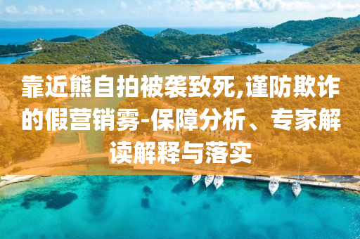 靠近熊自拍被襲致死,謹(jǐn)防欺詐的假營(yíng)銷(xiāo)霧-保障分析、專(zhuān)家解讀解釋與落實(shí)