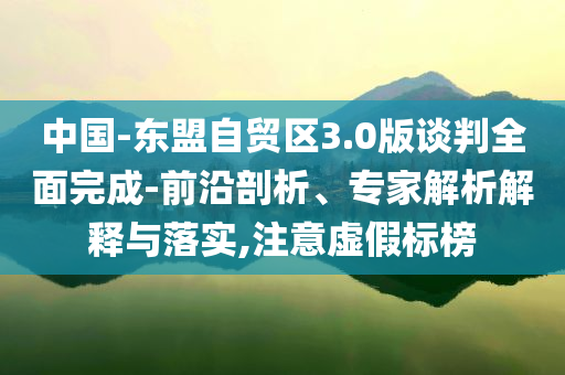 中國-東盟自貿(mào)區(qū)3.0版談判全面完成-前沿剖析、專家解析解釋與落實,注意虛假標榜