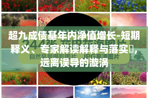 超九成債基年內(nèi)凈值增長-短期釋義、專家解讀解釋與落實(shí)?,遠(yuǎn)離誤導(dǎo)的漩渦