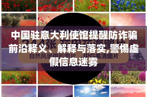 中國駐意大利使館提醒防詐騙前沿釋義、解釋與落實(shí),警惕虛假信息迷霧