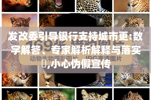 發(fā)改委引導(dǎo)銀行支持城市更:數(shù)字解答、專家解析解釋與落實(shí)?,小心偽假宣傳