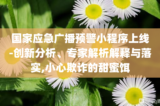 國家應(yīng)急廣播預警小程序上線-創(chuàng)新分析、專家解析解釋與落實,小心欺詐的甜蜜餌