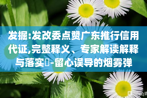 發(fā)掘:發(fā)改委點(diǎn)贊廣東推行信用代證,完整釋義、專家解讀解釋與落實(shí)?-留心誤導(dǎo)的煙霧彈