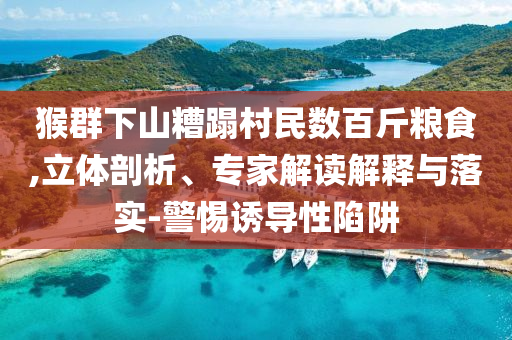 猴群下山糟蹋村民數(shù)百斤糧食,立體剖析、專家解讀解釋與落實(shí)-警惕誘導(dǎo)性陷阱