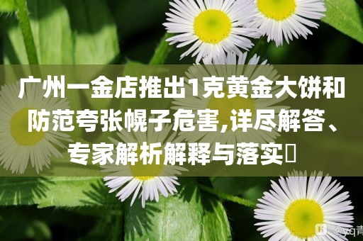 廣州一金店推出1克黃金大餅和防范夸張幌子危害,詳盡解答、專家解析解釋與落實(shí)?