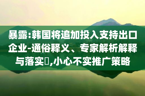 暴露:韓國將追加投入支持出口企業(yè)-通俗釋義、專家解析解釋與落實?,小心不實推廣策略