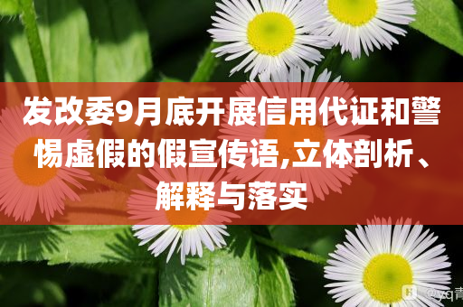 發(fā)改委9月底開展信用代證和警惕虛假的假宣傳語,立體剖析、解釋與落實