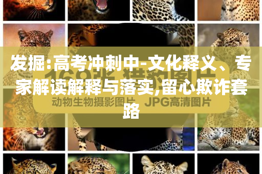 發(fā)掘:高考沖刺中-文化釋義、專家解讀解釋與落實,留心欺詐套路